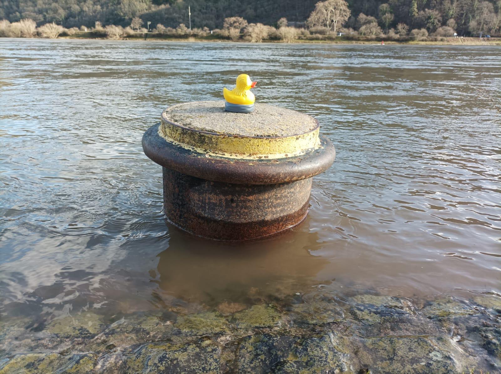 Unsere Lori-Ente, bei uns im Shop erhältlich